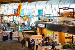 Wellington Airport Terminal